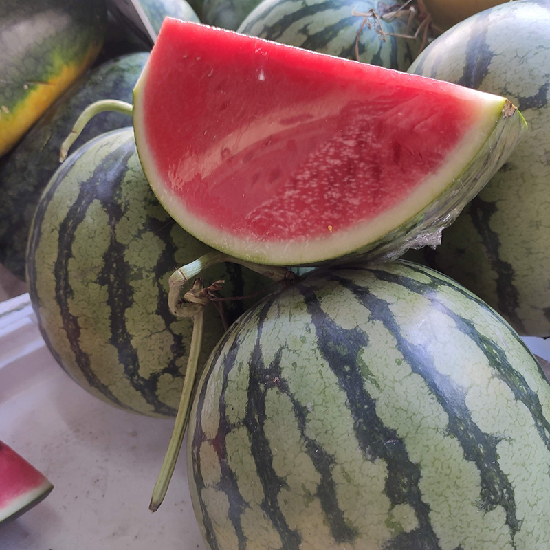 Dưa hấu không hạt (3kg/1 trái)